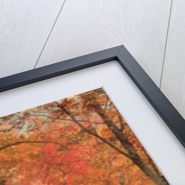 Path in the Forest, 1865 by William Trost Richards