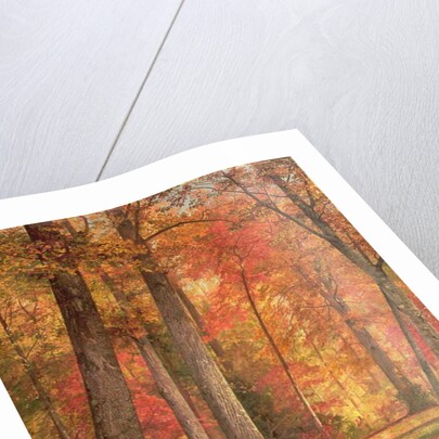 Path in the Forest, 1865 by William Trost Richards