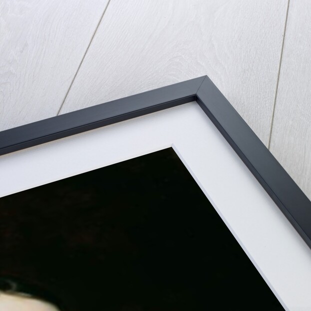 Portrait of Ellen and Mary McIlvaine, 1834 by Thomas Sully