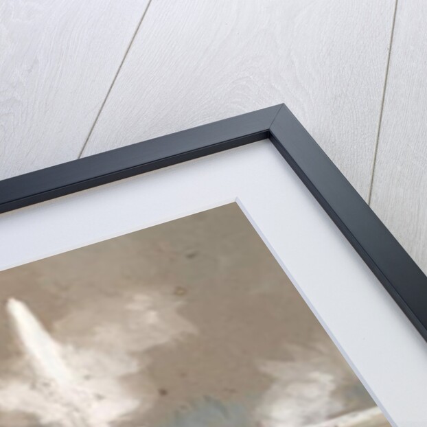 Morning Glory Pool, 1873 by Thomas Moran