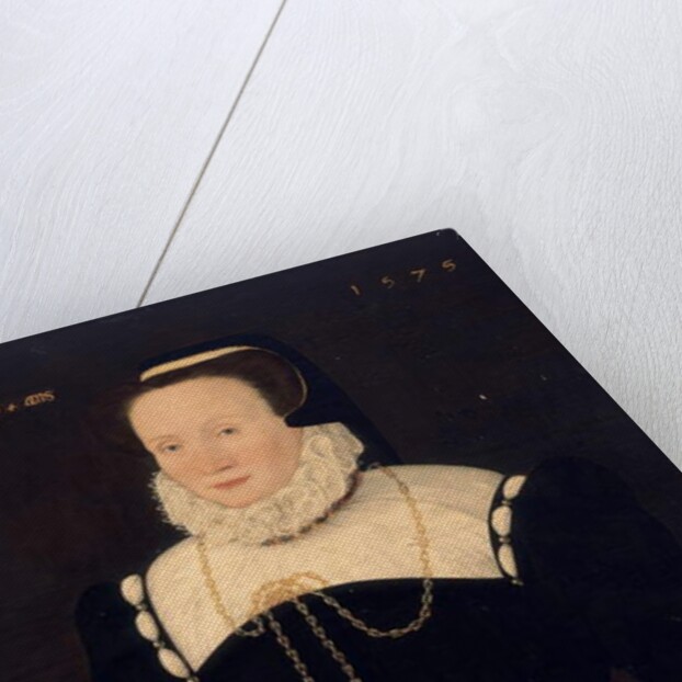 Portrait of a lady, 1575 by Cornelis Ketel