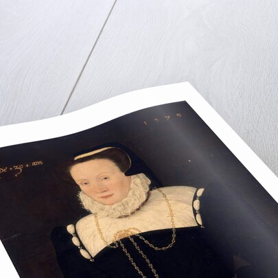 Portrait of a lady, 1575 by Cornelis Ketel