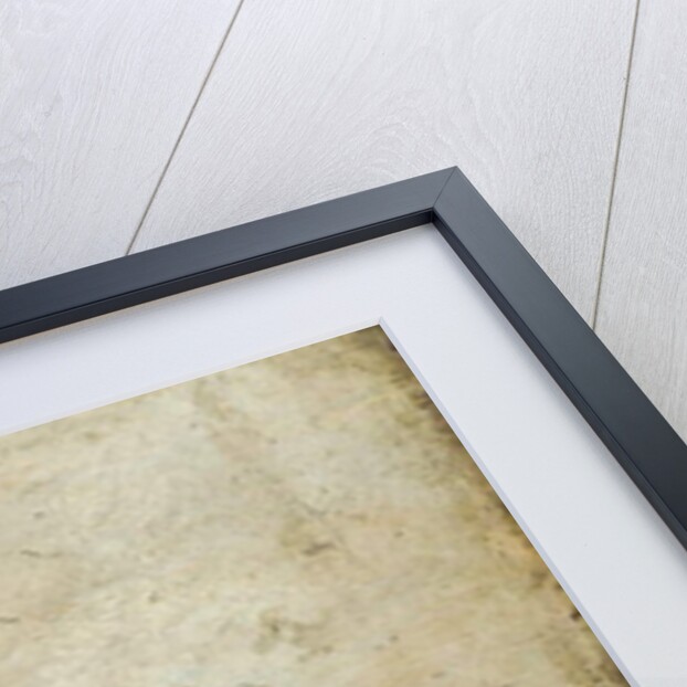 A cavalry engagement by Palamedes Palamedesz