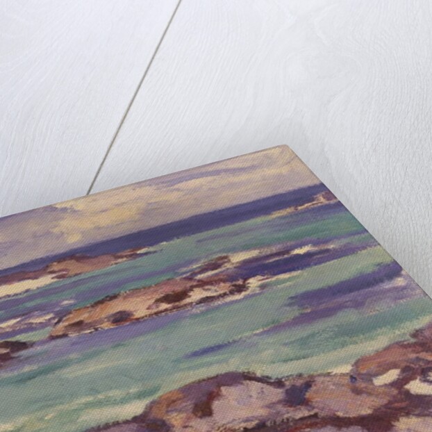 The North Shore, Iona by Samuel John Peploe