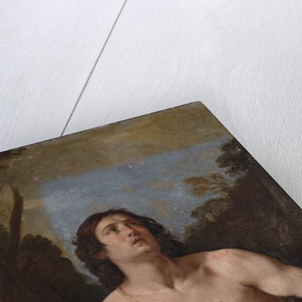 Saint John the Baptist in the Wilderness by Guido Reni