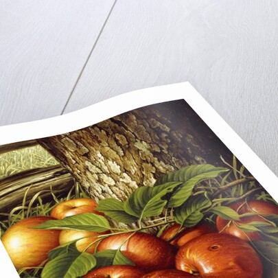 Apples and Tree Trunk, 1891 by Levi Wells Prentice