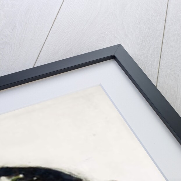 Rosina Ferrara - The Capri Girl, 1878 by John Singer Sargent