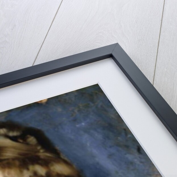 Gironella, 1878 by Julius Leblanc Stewart