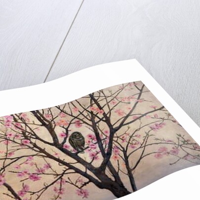 Primavera, 1877 by Charles Caryl Coleman