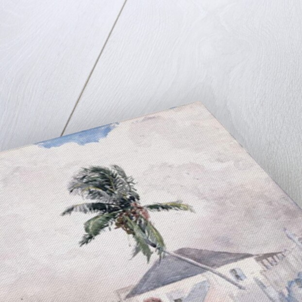 Along the Road, the Bahamas, 1885 by Winslow Homer