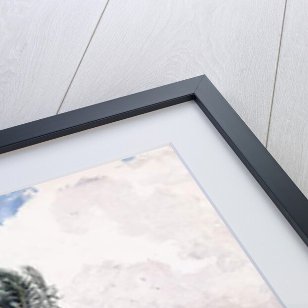 Along the Road, the Bahamas, 1885 by Winslow Homer