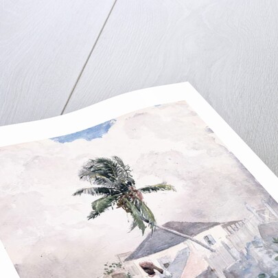 Along the Road, the Bahamas, 1885 by Winslow Homer