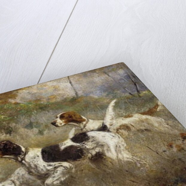 The Setters Three, Bob, Bill and Ginger on a triple point, 1927 by Percival Leonard Rosseau