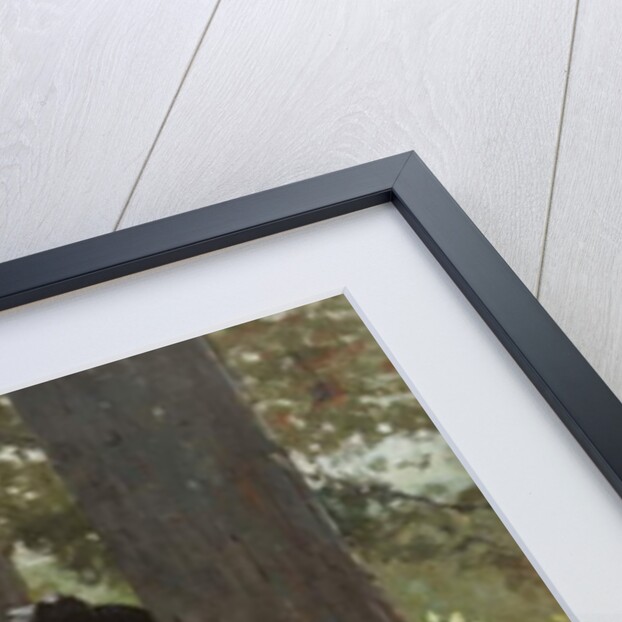 Girl Reading Under an Oak Tree, 1879 by Winslow Homer