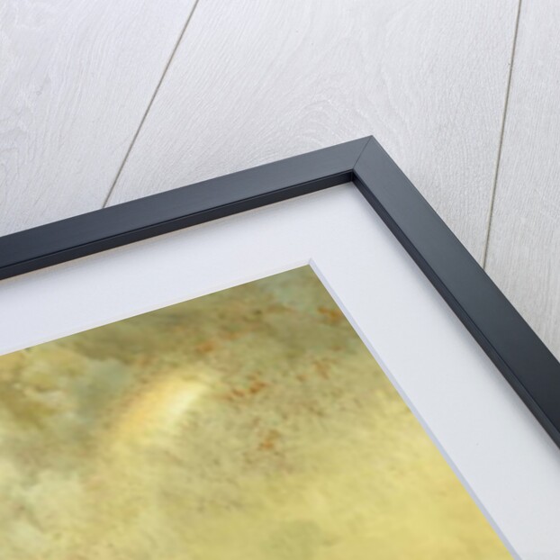 A Summer Shower, 1878 by Thomas Moran