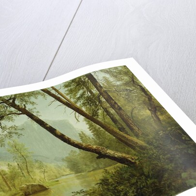 Sunlit Forest by Albert Bierstadt