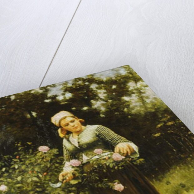 Gathering Roses by Daniel Ridgway Knight