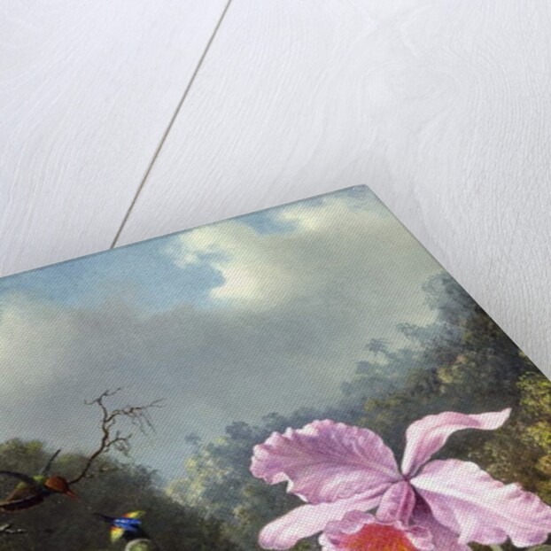 Still Life with Orchid and Pair of Hummingbirds, c.1890s by Martin Johnson Heade