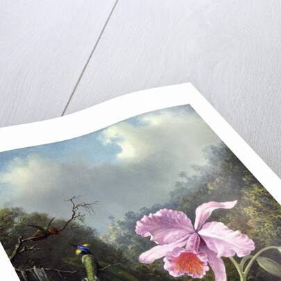 Still Life with Orchid and Pair of Hummingbirds, c.1890s by Martin Johnson Heade