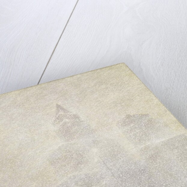 Eternal Light, Madison Square, Winter by F. Usher de Voll