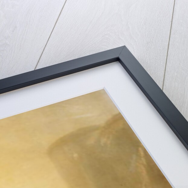 Study for Yosemite Valley, Glacier Point Trail by Albert Bierstadt