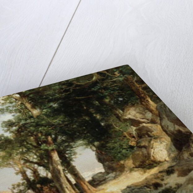 On the Berry Trail - Grand Canyon of Arizona, 1903 by Thomas Moran