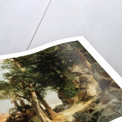 On the Berry Trail - Grand Canyon of Arizona, 1903 by Thomas Moran