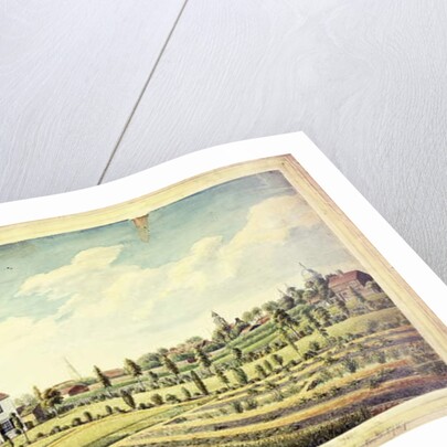 William Curtis's Botanic Garden, Lambeth Marsh, Ante 1787, c.1787 by James Sowerby