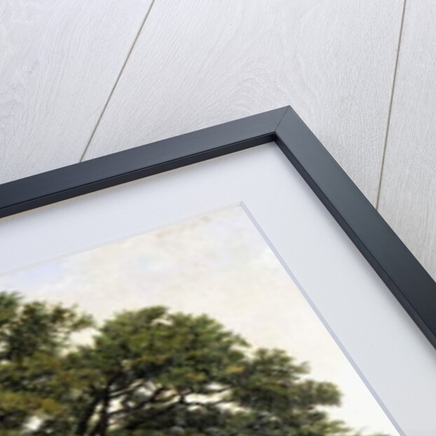 La Plaine d'Annecy-Chene le Veteran des Alpes, by Jean Jacques Rousseau