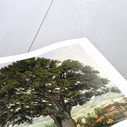 La Plaine d'Annecy-Chene le Veteran des Alpes, by Jean Jacques Rousseau