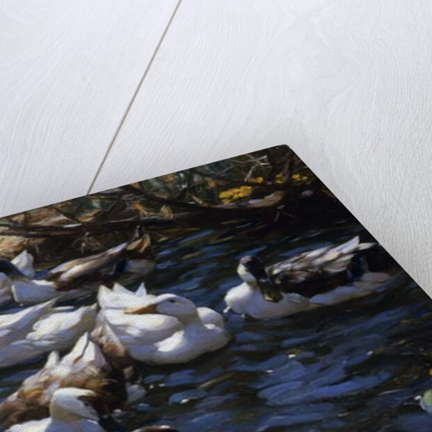 Ducks in the Reeds under the Boughs by Alexander Koester