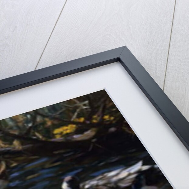 Ducks in the Reeds under the Boughs by Alexander Koester