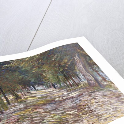 The Avenue at the Park of Voyer-d'Argenson at Asnieres, 1887 by Vincent van Gogh