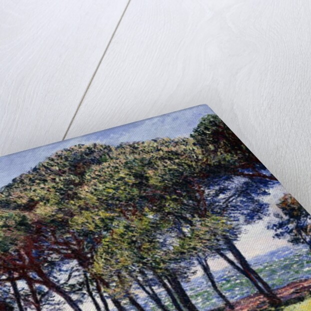 Pines, Cap d'Antibes, 1888 by Claude Monet