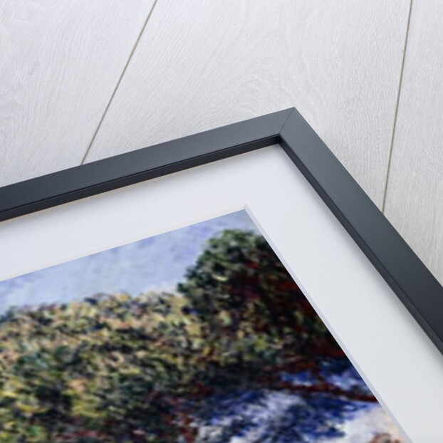 Pines, Cap d'Antibes, 1888 by Claude Monet