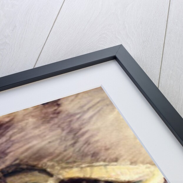 Study of a Dancer, 1888 by Henri de Toulouse-Lautrec