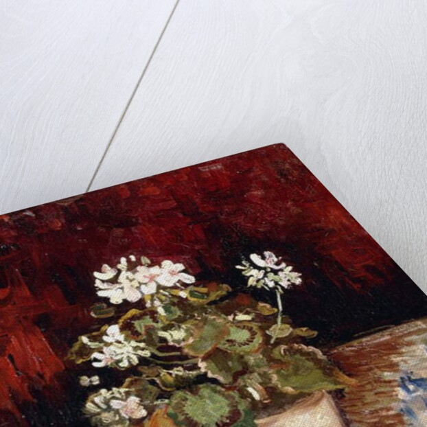 Still-life Pot of Geraniums, 1886 by Vincent van Gogh