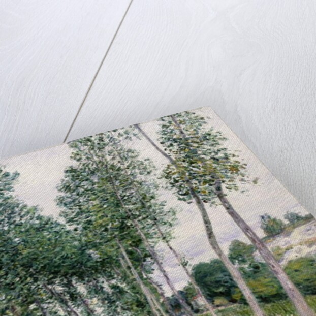 Alley of Poplars along the Loing, 1892 by Alfred Sisley