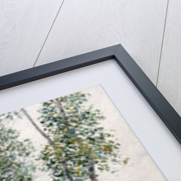 Alley of Poplars along the Loing, 1892 by Alfred Sisley