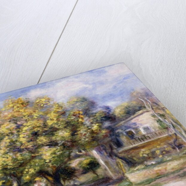 Houses in Cagnes, c.1905 by Pierre Auguste Renoir