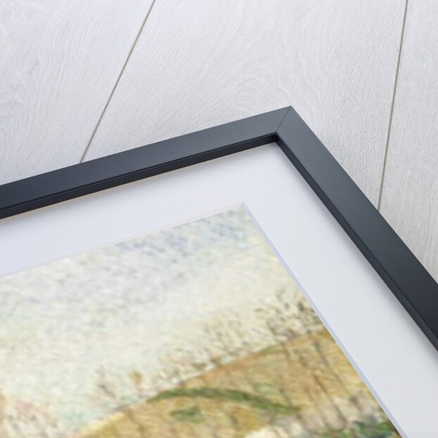 Flood in Pontoise, 1882 by Camille Pissarro