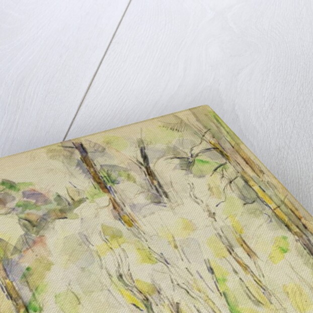 Woodland Scene, c.1900-1904 by Paul Cezanne