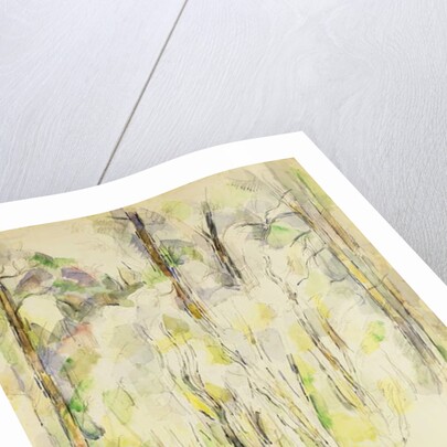 Woodland Scene, c.1900-1904 by Paul Cezanne