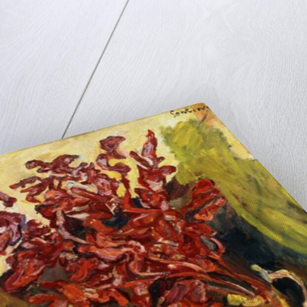 The Gladiolus, c.1919 by Chaim Soutine