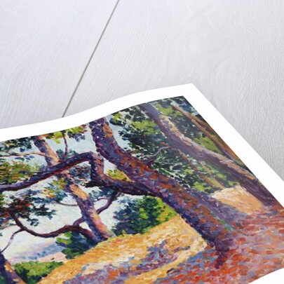 Landscape in Saint-Tropez, 1892 by Maximilien Luce