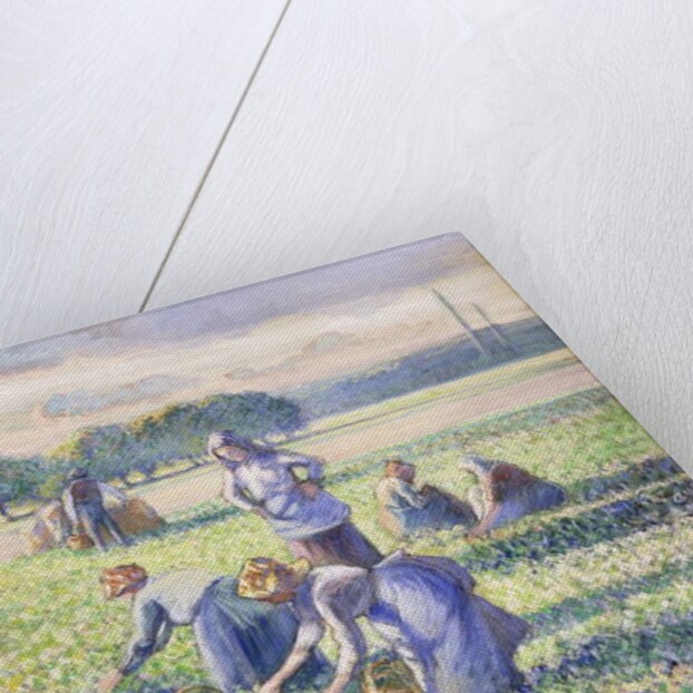 The Harvest of Peas, 1887 by Camille Pissarro