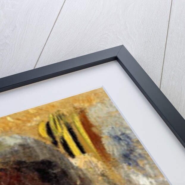 Violette Heymann, c.1910 by Odilon Redon