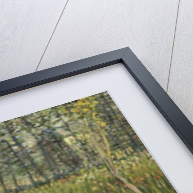 Woman in a Garden, 1887 by Vincent van Gogh