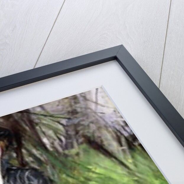 Portrait of a Lady, Lina Bilitis, with two Pekineses, 1913 by Giovanni Boldini