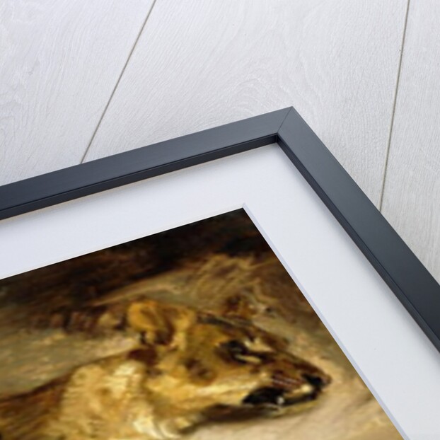 A Sleeping Lioness, c.1830 by Ferdinand Victor Eugene Delacroix